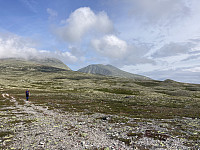 paalvic_20241015_670e74e7235a7.jpg