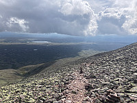 paalvic_20241015_670e74eb0ee59.jpg