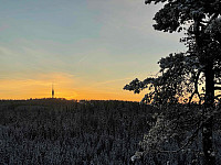 paalvic_20241209_67570780a96c6.jpg