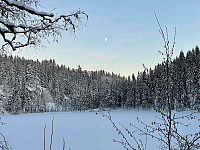 paalvic_20241209_6757078130fe1.jpg