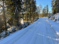 paalvic_20250102_6776bf43b6332.jpg
