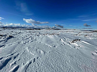 paalvic_20250318_67d98e76e47e8.jpg