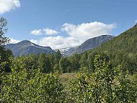 paalvic_20250628_686019640feec.jpg