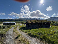 paalvic_20250628_6860196485dbf.jpg