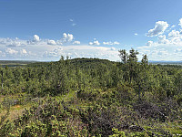 paalvic_20250716_6877b87302cb5.jpg