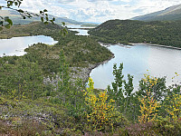 paalvic_20250728_688784a38db41.jpg