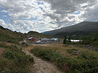 paalvic_20250728_688784a420369.jpg