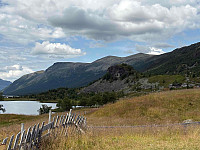 paalvic_20250728_688784a4a2572.jpg