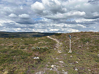 paalvic_20250728_688784a528fb5.jpg