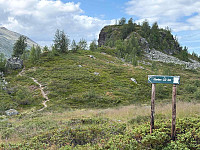 paalvic_20250728_688784a6ab147.jpg