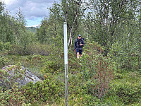paalvic_20250808_68962270089a4.jpg