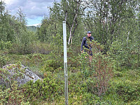 paalvic_20250808_689622709603c.jpg