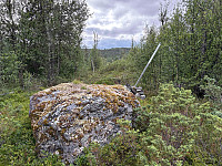 paalvic_20250808_68962271a4592.jpg