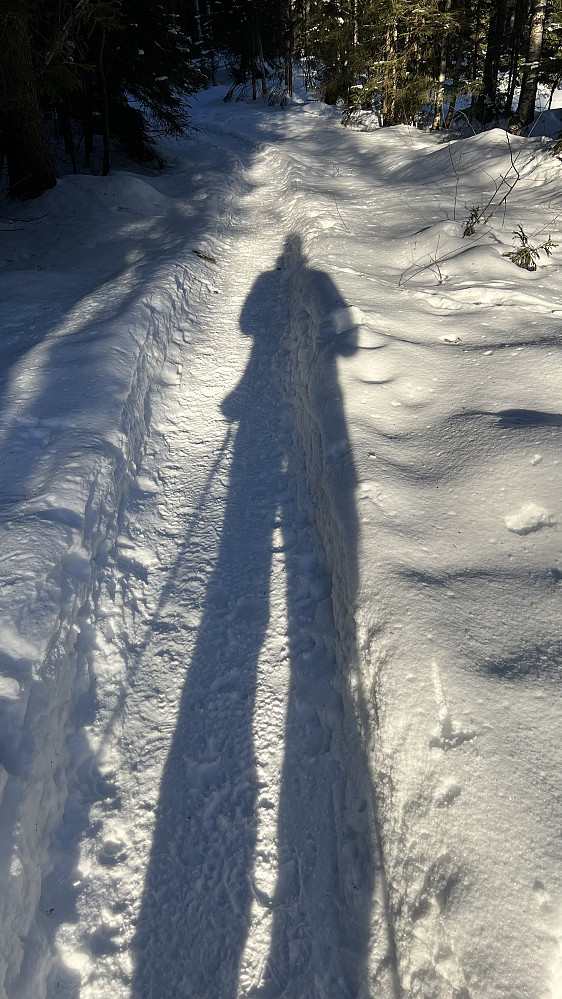 Kan man kalle dette en selfie? ;-)
