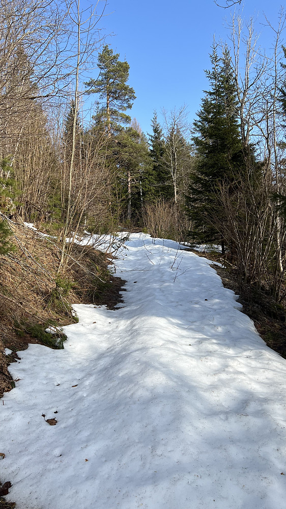 Endelig lettet tåka nær toppen av Konnerudkollen. Det ble en del trasking i snø