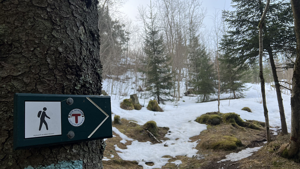 Tilbakeblikk oppover der jeg kom fra etter en del gjennomtråkk i snø
