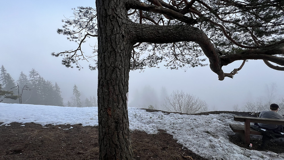 Tåkete ved utsikten