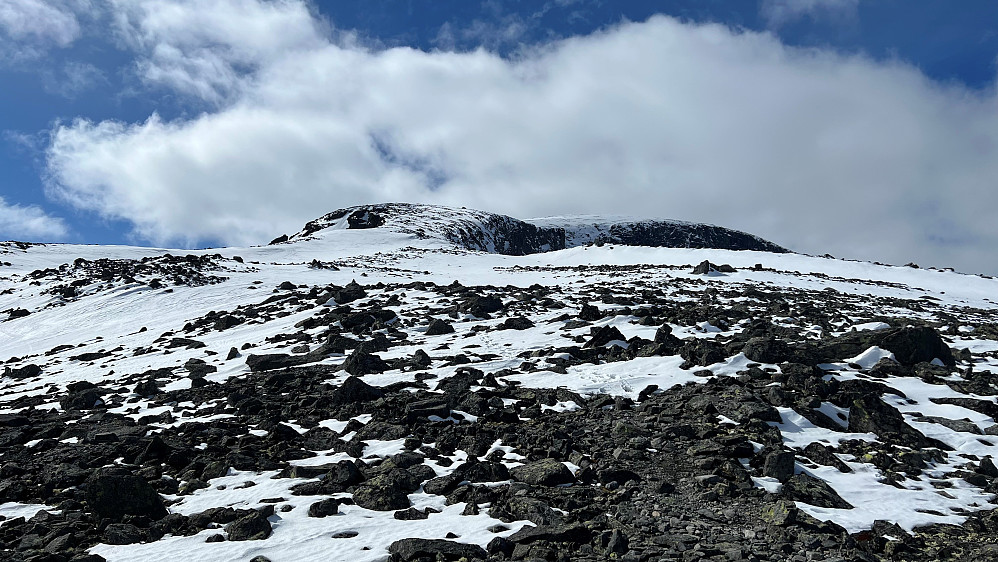 Utsikt mot Brue i retning toppen sett fra 1850 moh. Valgte derfor å gå på beina til toppen derfra