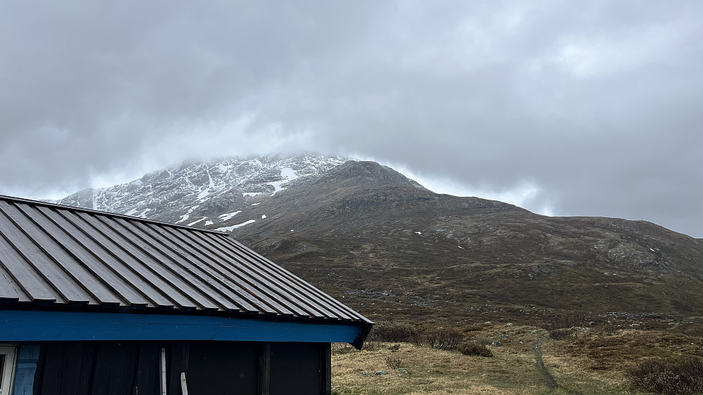 Neste dag, 1. juni, var det grått og nysnø på toppene - her sett fra Torfinnsbu mot Nørdre Kalvehølotind dekket i skyer