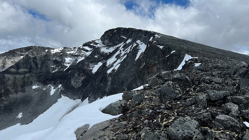Nautgardstinden sett fra vest - fra på ryggen mot Nautgardsoksle