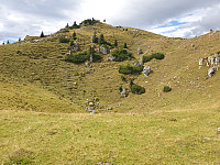 przyboro_20220825_6307e1d620279.jpg
