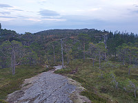 przyboro_20240908_66ddfc92e5935.jpg