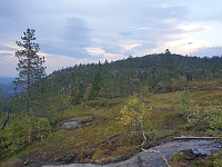 przyboro_20240908_66ddfc9468d5c.jpg