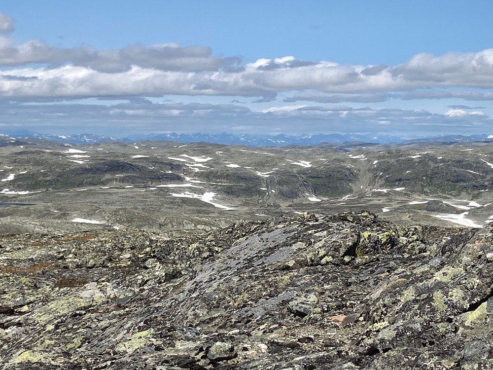 Utsikt fra Halldalshøgdi mot Jotunheimen.