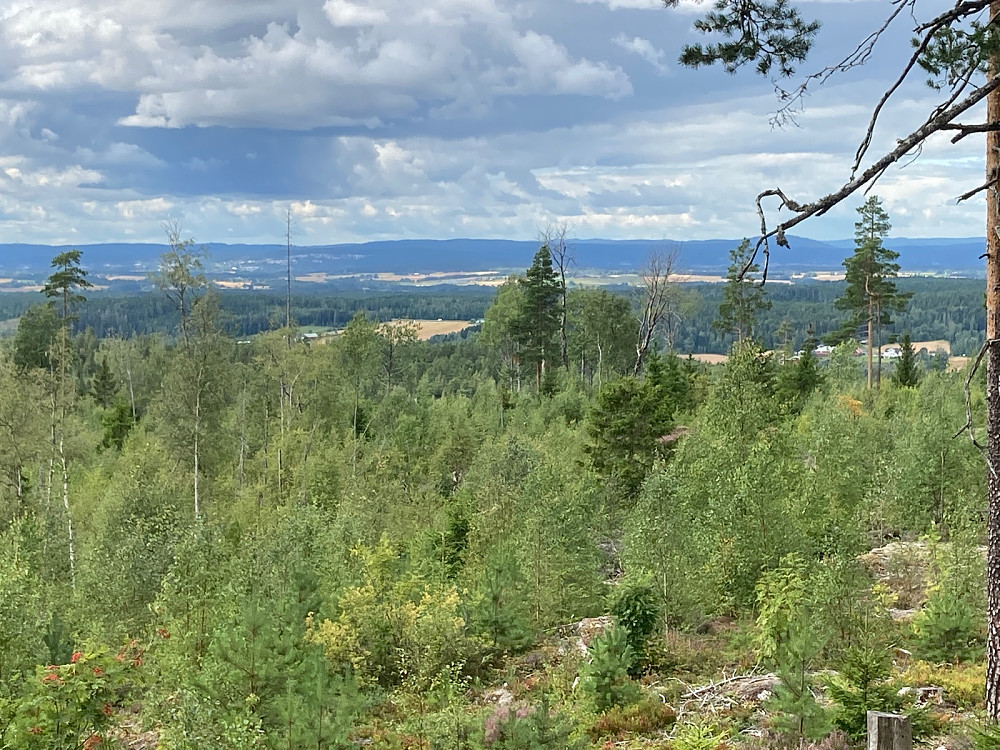 Utsikt vestover.