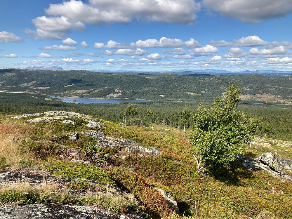 Utsikt fra toppen mot Hallingskarvet til venstre.