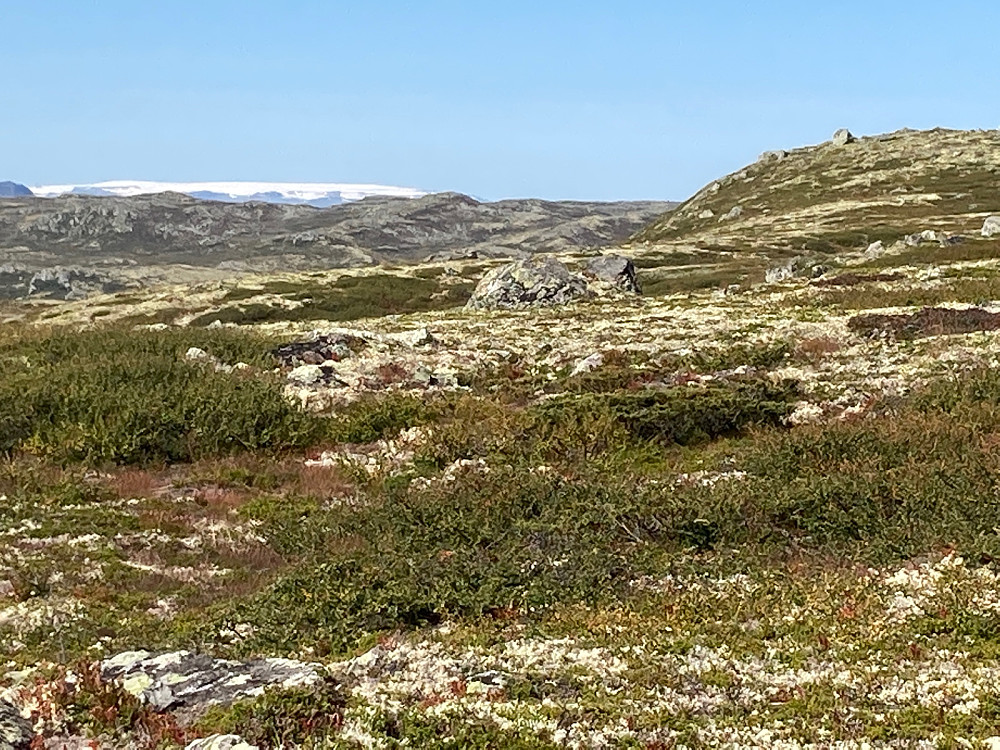 Litt før Kistenuten åpenbarer Hardangerjøkulen seg.