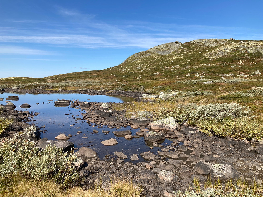 Tørt i terrenget. Kistenuten til høyre.