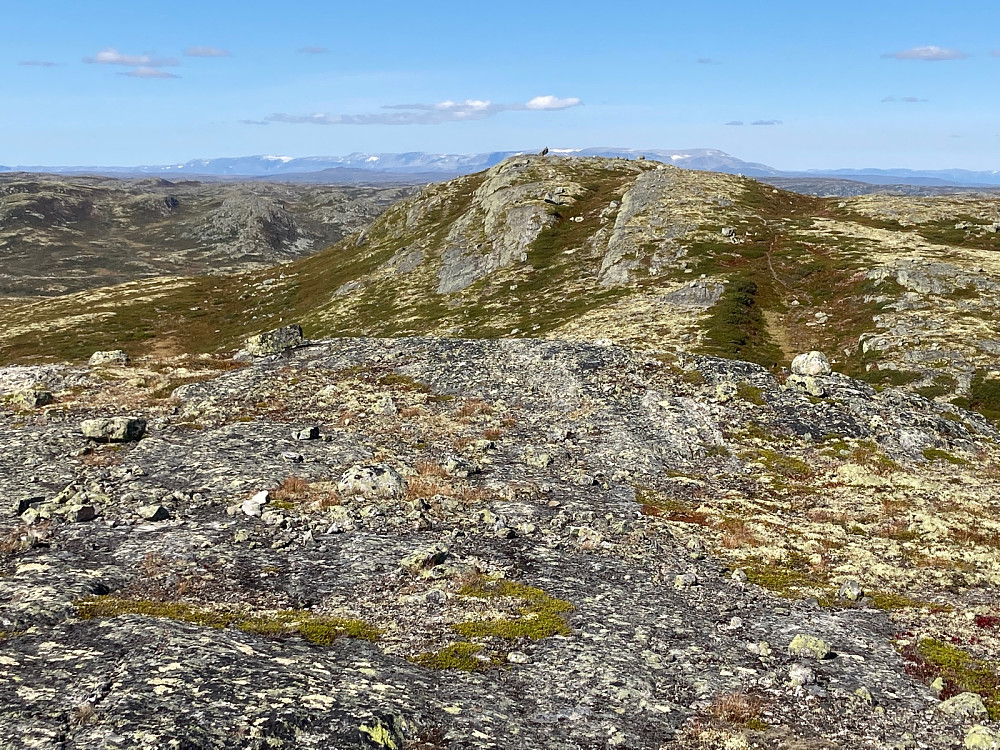 Utsikt fra Kistenuten sørøst til Kistenuten med Hallingskarvet i bakgrunnen.