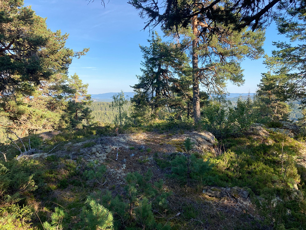 Toppområdet på Værsåsen.