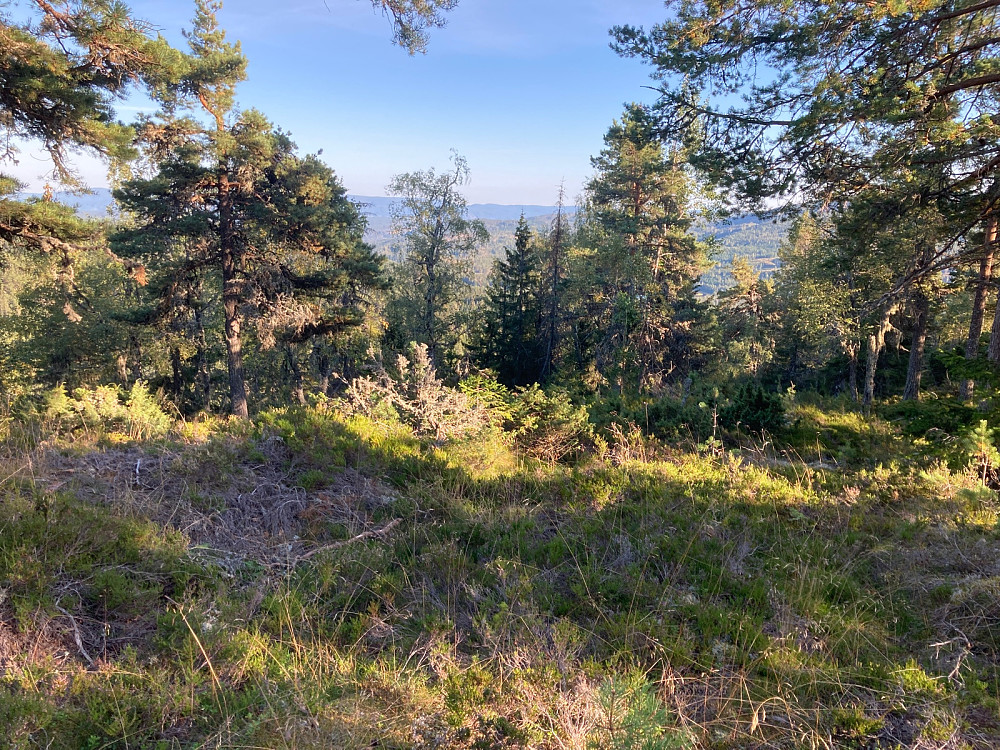 Begrenset utsikt fra Værsåsen.