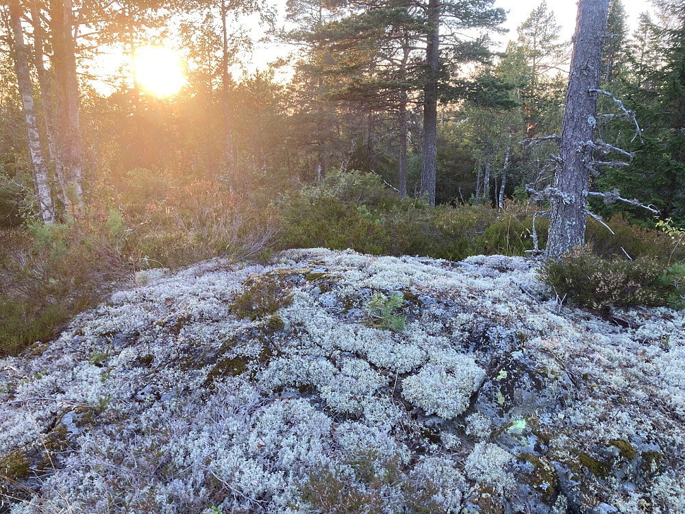 Sola på vei ned da jeg nådde toppen av Slottet.