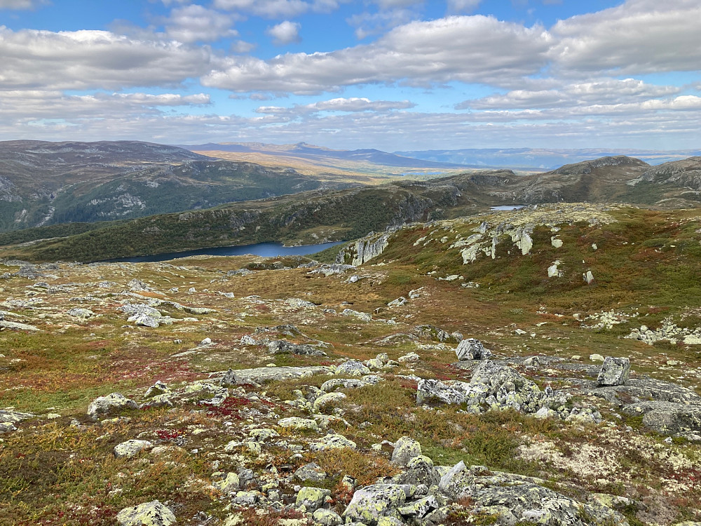 Utsikt nordvestover med Berghovda den markerte toppen langt borte og midt i bildet. Fjellområdet rundt Fjellbunuten er til høyre og enda lenger borte.