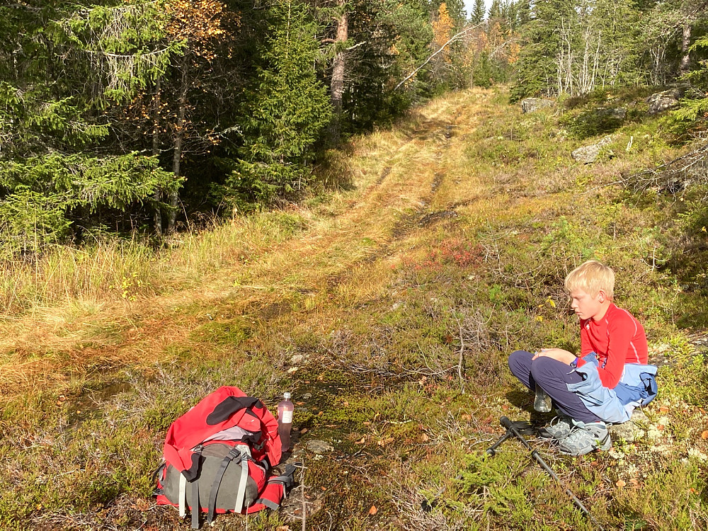 Drikkepause ved traktorveien vi fulgte.