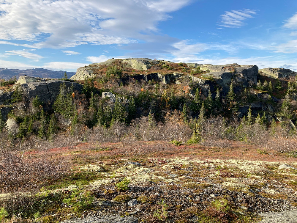 Toppen av Skagsåsen.