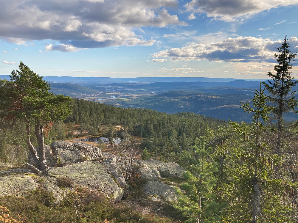 Utsikt nedover Ådalen fra Kongsgårdskollen.