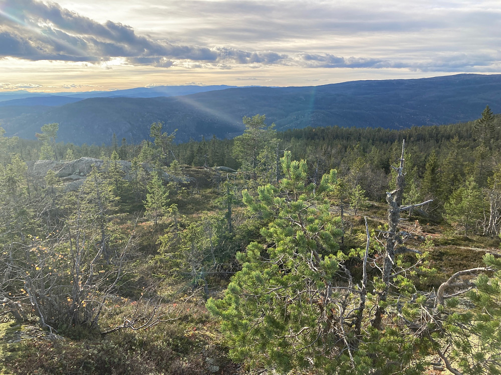 Utsikt fra Fjøsvikfjellet med Gaustatoppen til venstre. Norefjell i midten. Vikerfjell i forgrunnen til høyre.