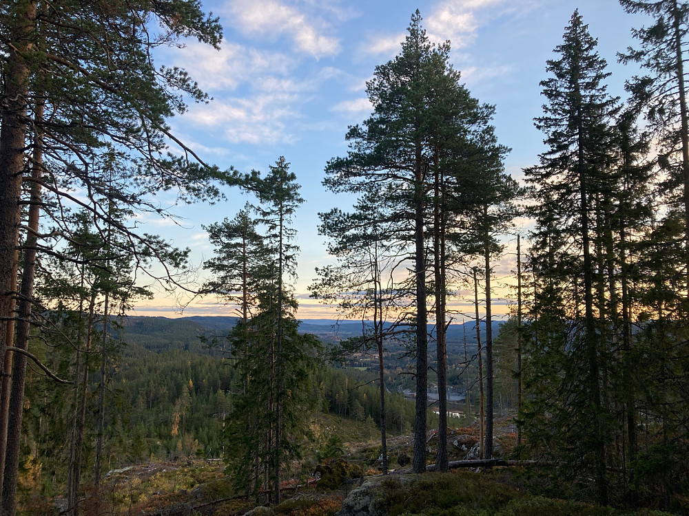 Utsikt sørover fra en åpning i skogen rett sør for Karteråsen.