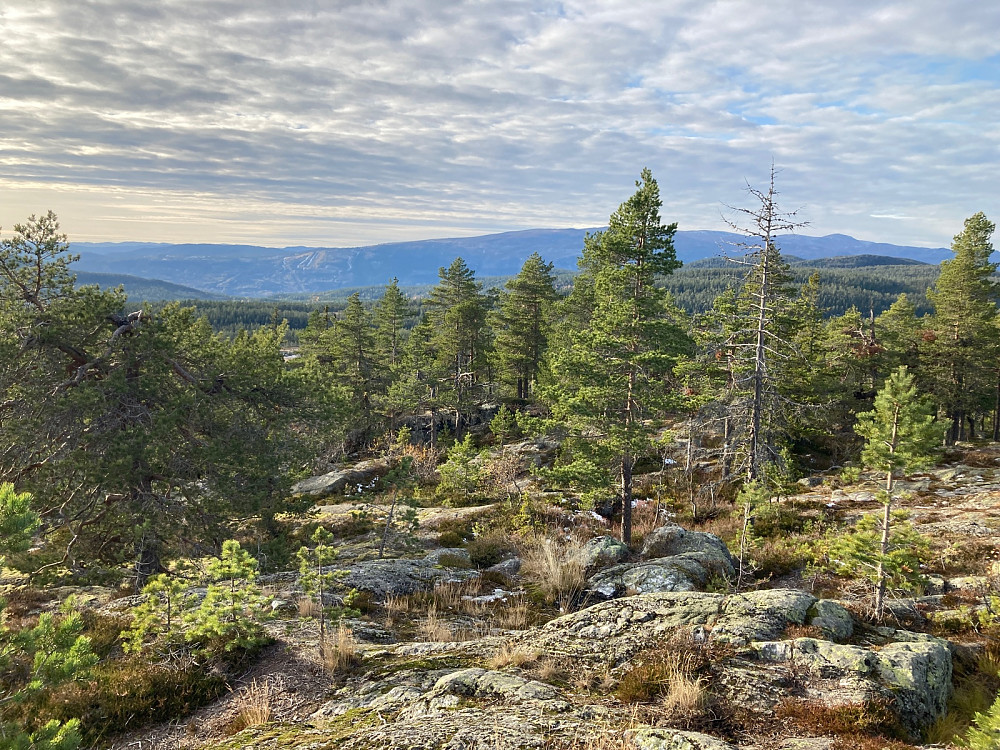 Utsikt mot Norefjell med skibakkene til venstre.
