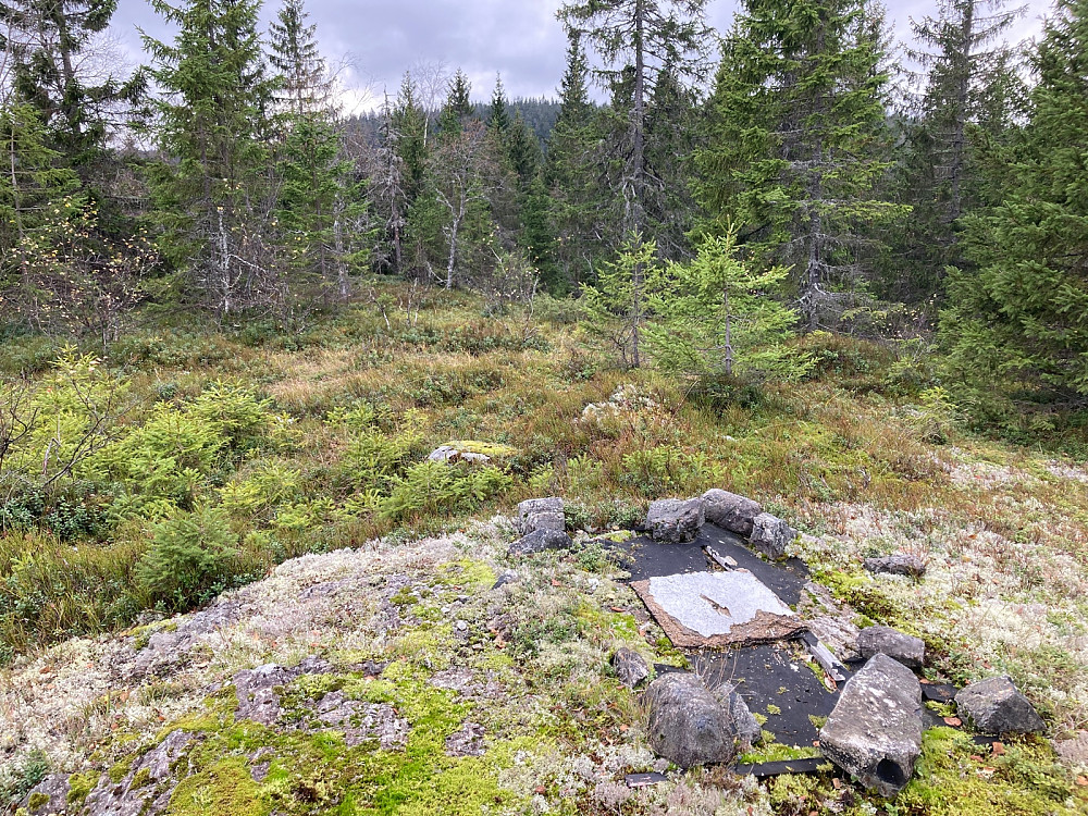 Toppen av Almdalsfjellet med et forhenværende trigpunkt.