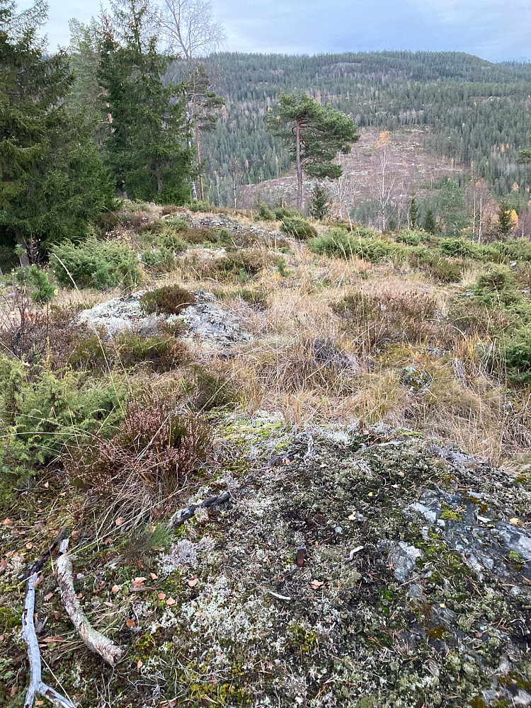 Toppen av Hovet med fastmerket.