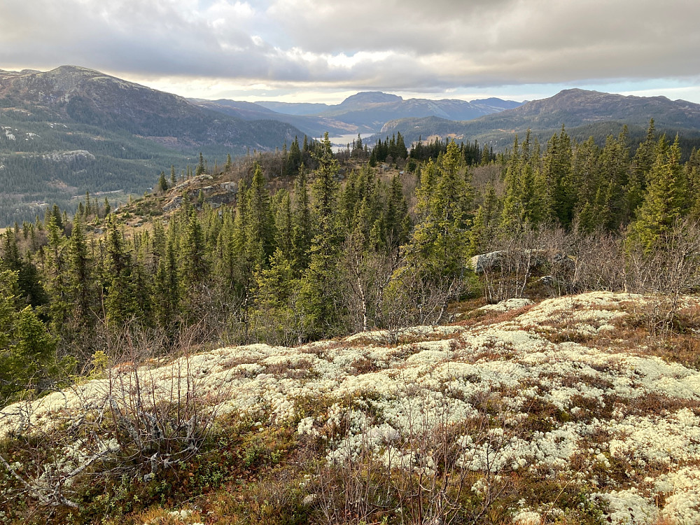 På vei mot toppen av Ringputtåsen er det utsikt mot Fauskofjellet som vises midt i bildet.