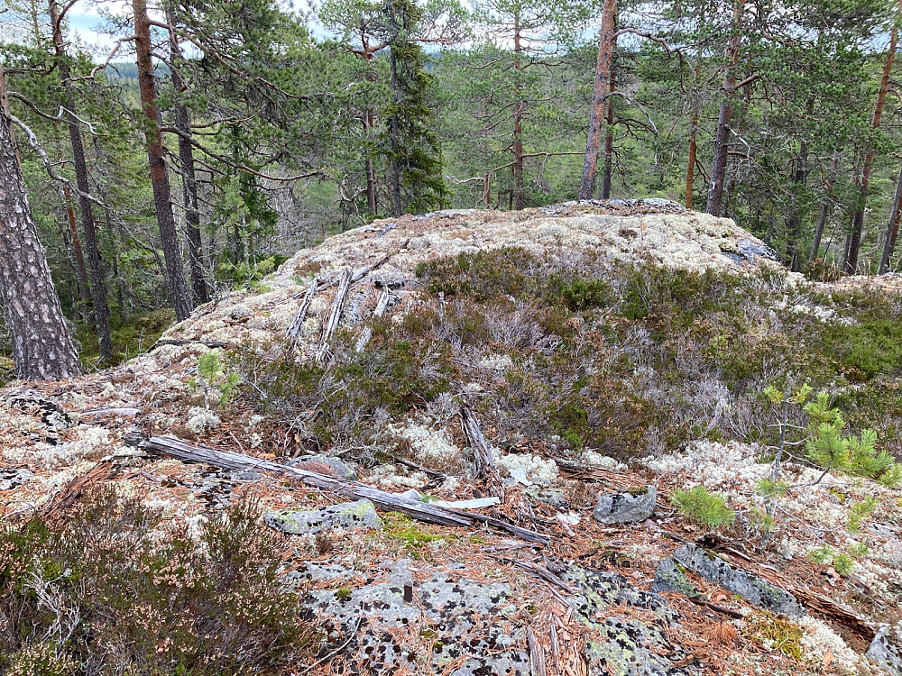 Toppunktet på Ese med fastmerke.