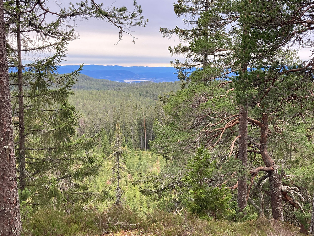 Utsikt fra Kattåsen mot Fiskumvannet.