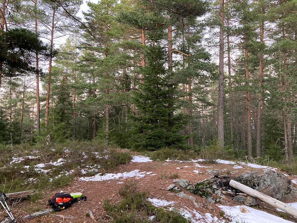 Toppen av Furuåsen.