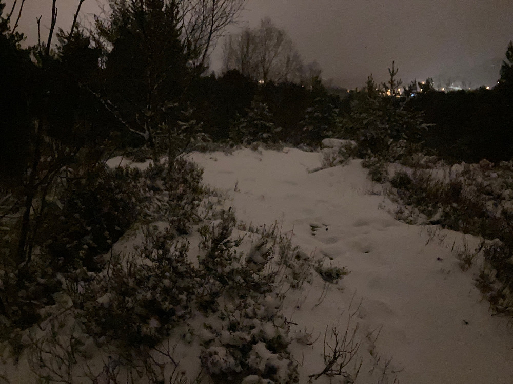 Toppen av Tørlen.